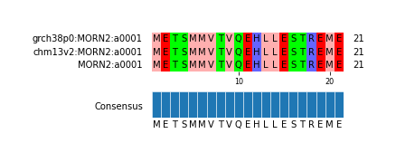 Multiple Alignments (by translate haplotype similarity)