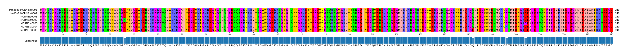 Multiple Alignments (by translate haplotype frequency)