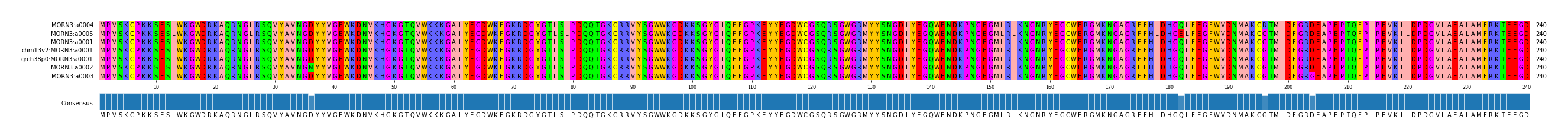 Multiple Alignments (by translate haplotype similarity)