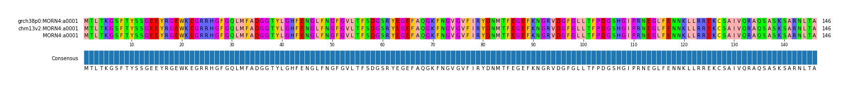 Multiple Alignments (by translate haplotype similarity)