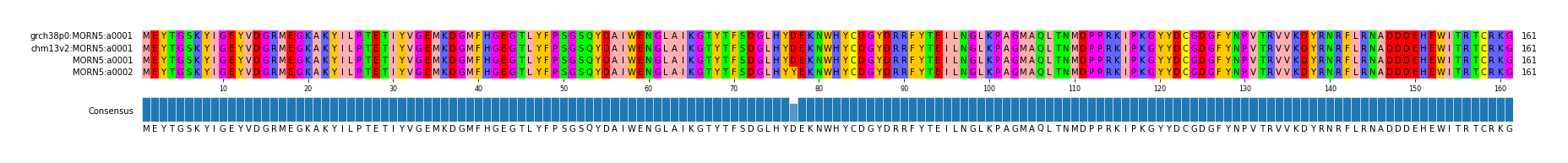 Multiple Alignments (by translate haplotype similarity)