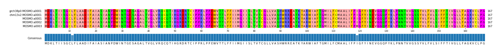 Multiple Alignments (by translate haplotype frequency)