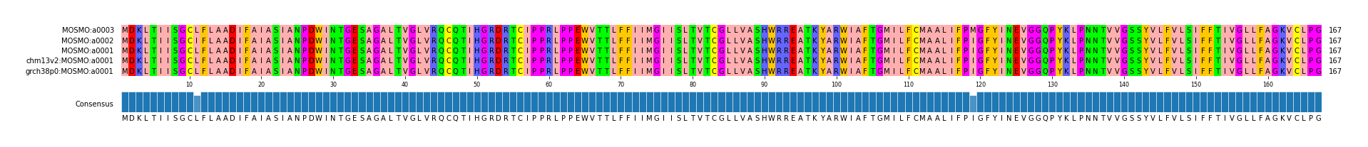 Multiple Alignments (by translate haplotype similarity)