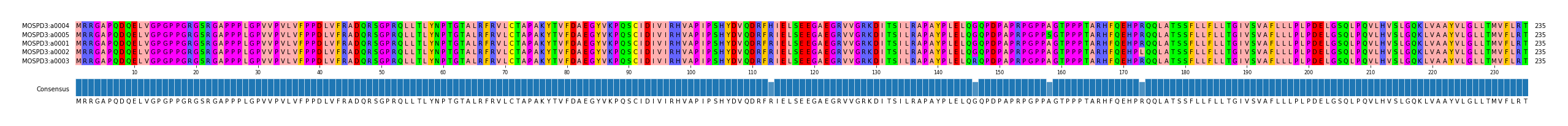 Multiple Alignments (by translate haplotype similarity)