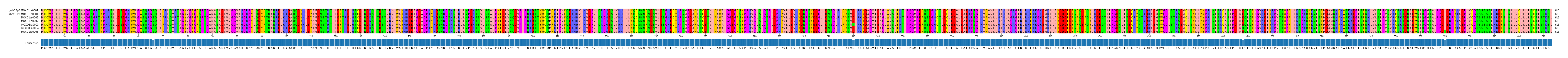 Multiple Alignments (by translate haplotype frequency)