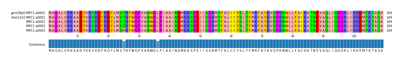 Multiple Alignments (by translate haplotype frequency)
