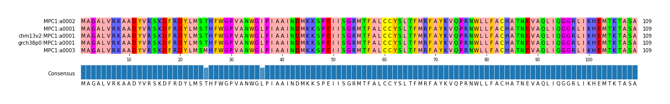 Multiple Alignments (by translate haplotype similarity)