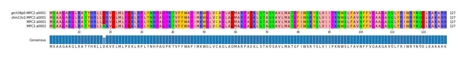 Multiple Alignments (by translate haplotype similarity)
