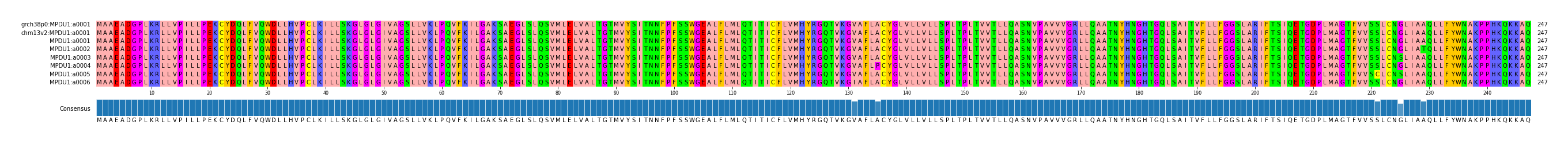 Multiple Alignments (by translate haplotype frequency)