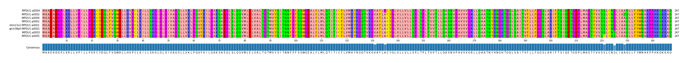 Multiple Alignments (by translate haplotype similarity)