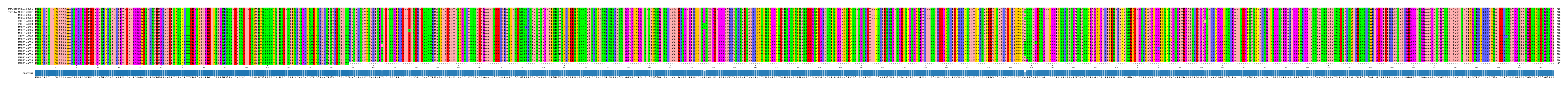 Multiple Alignments (by translate haplotype frequency)