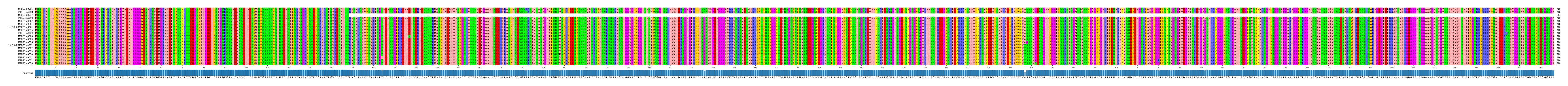 Multiple Alignments (by translate haplotype similarity)