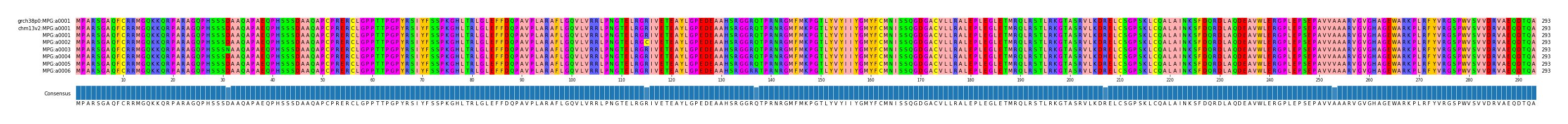 Multiple Alignments (by translate haplotype frequency)