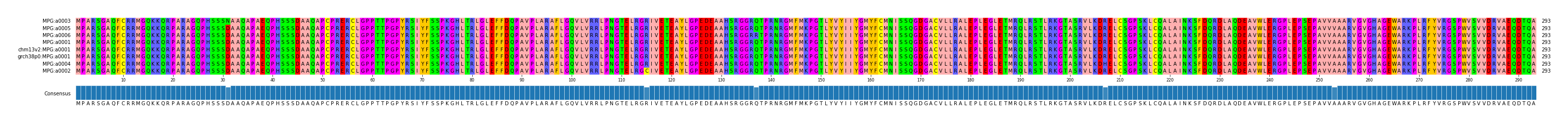 Multiple Alignments (by translate haplotype similarity)