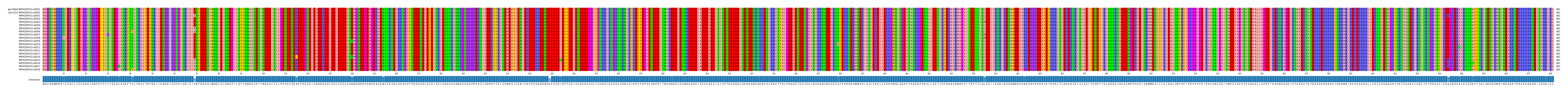 Multiple Alignments (by translate haplotype frequency)