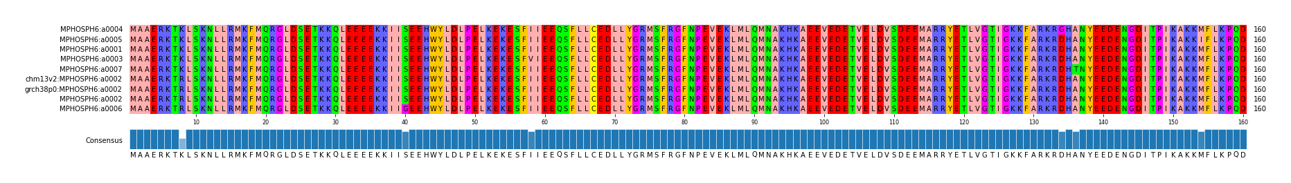 Multiple Alignments (by translate haplotype similarity)