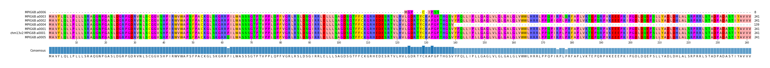 Multiple Alignments (by translate haplotype similarity)