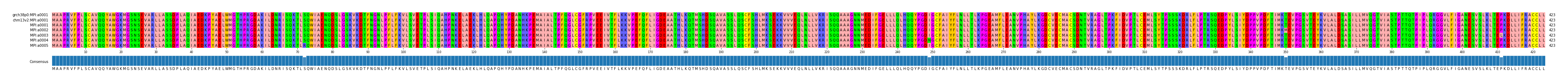 Multiple Alignments (by translate haplotype frequency)
