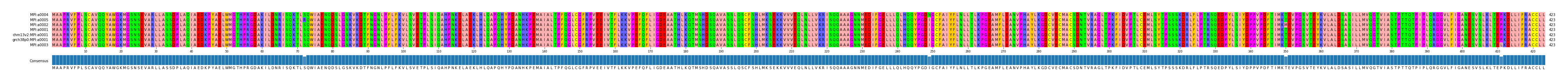 Multiple Alignments (by translate haplotype similarity)