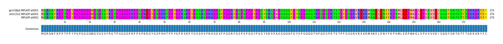 Multiple Alignments (by translate haplotype similarity)
