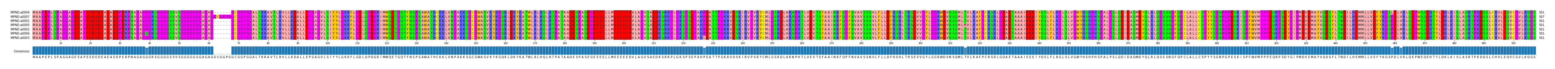 Multiple Alignments (by translate haplotype similarity)