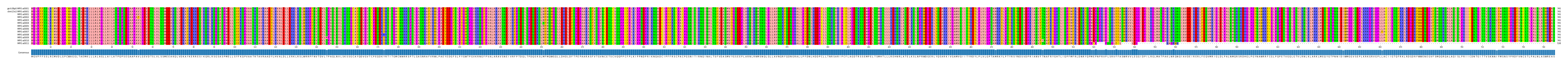 Multiple Alignments (by translate haplotype frequency)
