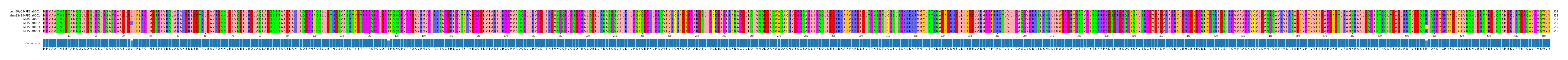 Multiple Alignments (by translate haplotype frequency)