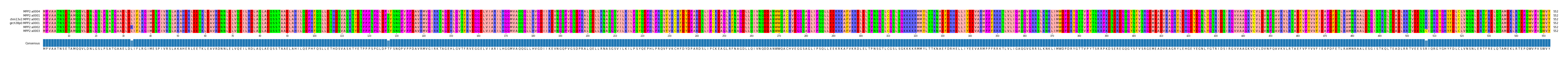 Multiple Alignments (by translate haplotype similarity)