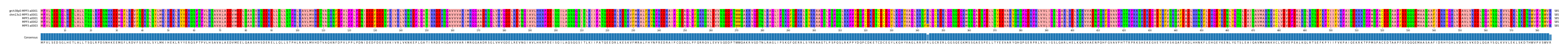 Multiple Alignments (by translate haplotype frequency)