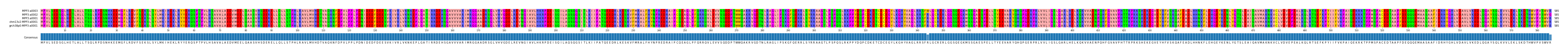 Multiple Alignments (by translate haplotype similarity)