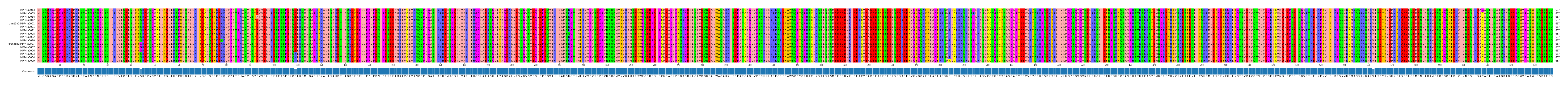Multiple Alignments (by translate haplotype similarity)