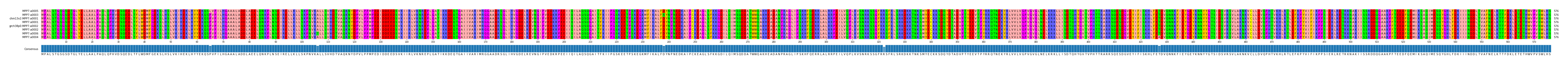 Multiple Alignments (by translate haplotype similarity)