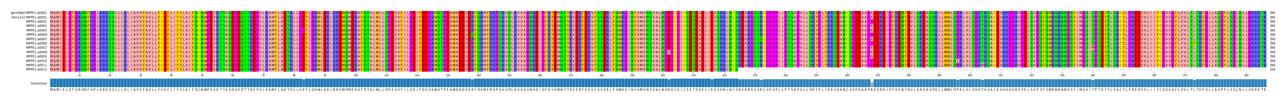 Multiple Alignments (by translate haplotype frequency)