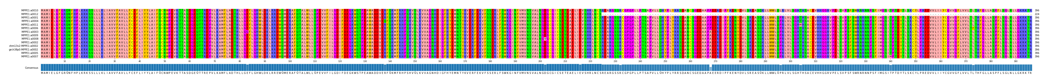 Multiple Alignments (by translate haplotype similarity)