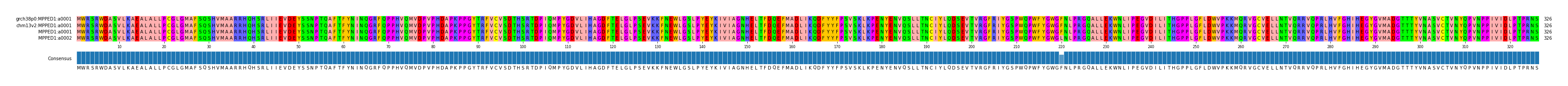 Multiple Alignments (by translate haplotype similarity)