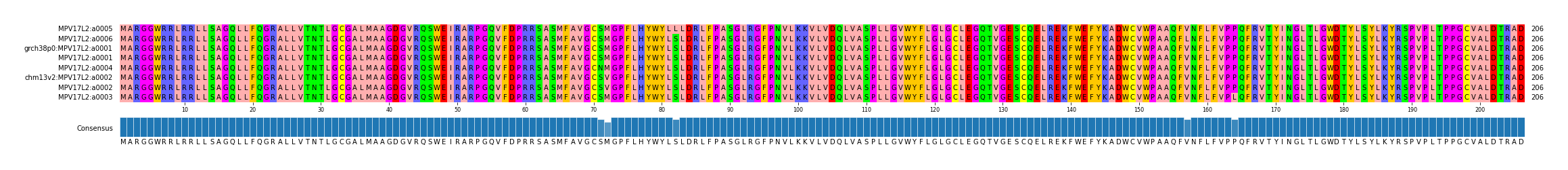 Multiple Alignments (by translate haplotype similarity)