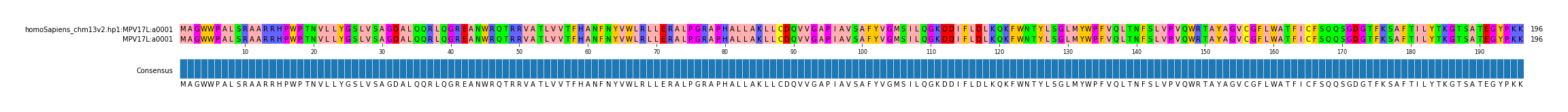 Multiple Alignments (by translate haplotype similarity)