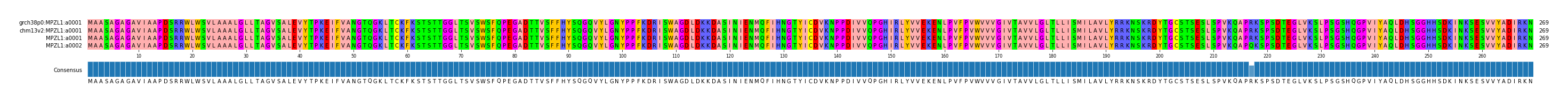 Multiple Alignments (by translate haplotype frequency)