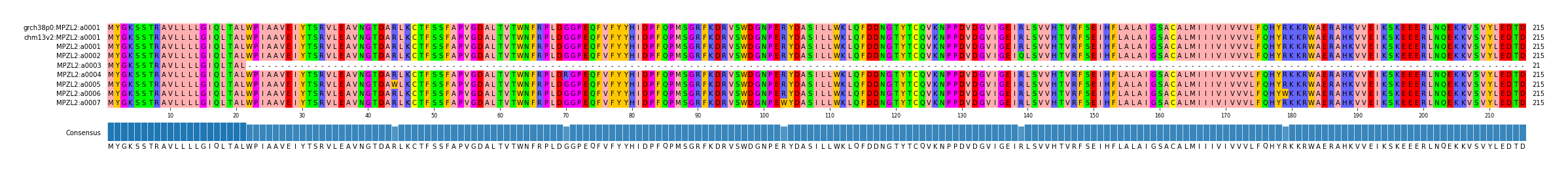 Multiple Alignments (by translate haplotype frequency)