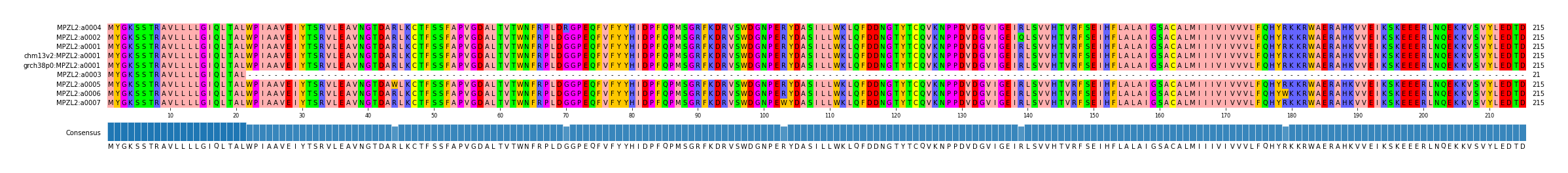 Multiple Alignments (by translate haplotype similarity)