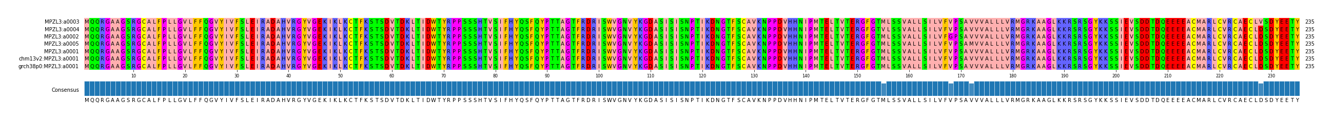 Multiple Alignments (by translate haplotype similarity)