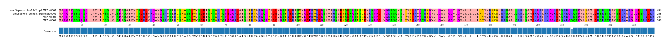 Multiple Alignments (by translate haplotype similarity)