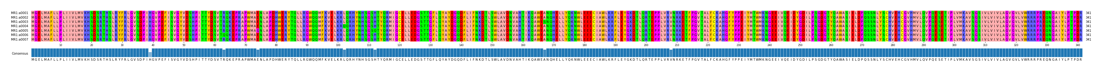 Multiple Alignments (by translate haplotype frequency)