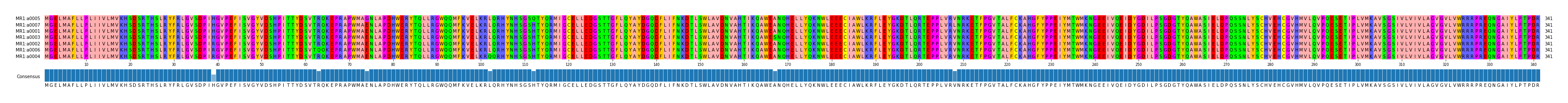 Multiple Alignments (by translate haplotype similarity)