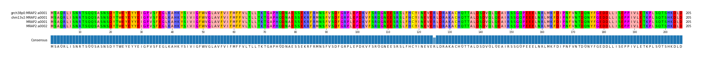 Multiple Alignments (by translate haplotype similarity)