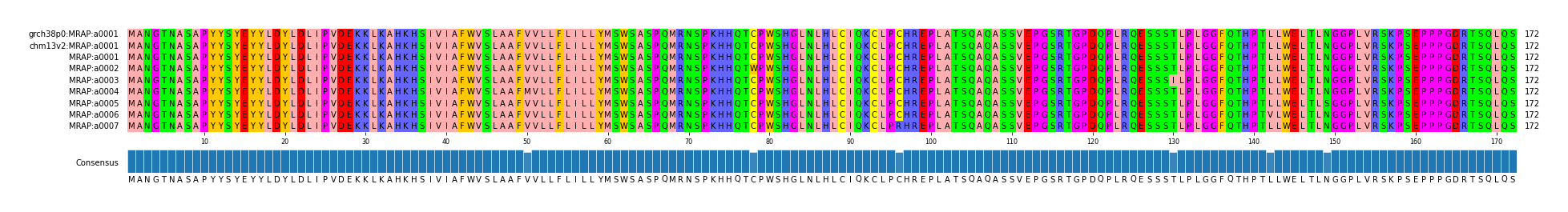 Multiple Alignments (by translate haplotype frequency)