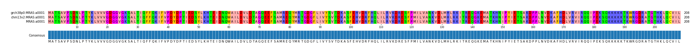 Multiple Alignments (by translate haplotype similarity)