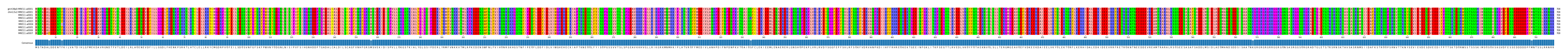 Multiple Alignments (by translate haplotype frequency)