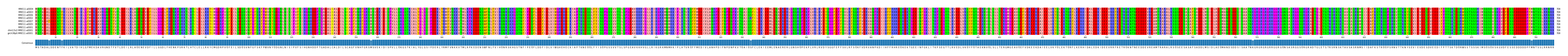 Multiple Alignments (by translate haplotype similarity)