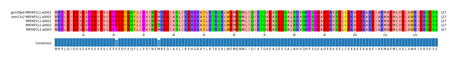 Multiple Alignments (by translate haplotype frequency)